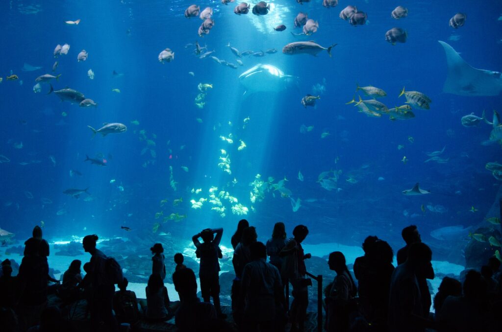 Atlanta Aquarium