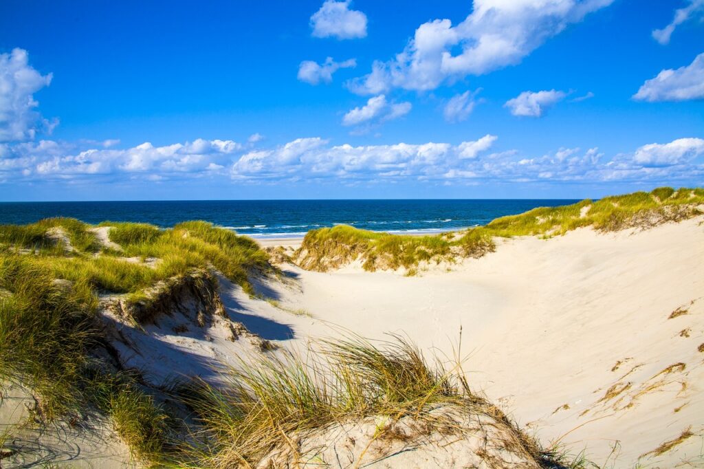 dune, sea, heaven, clouds, north sea, sand, summer, nature, by the sea, denmark, dune grass