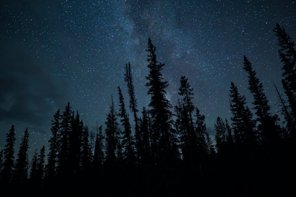 the night sky is filled with stars and trees