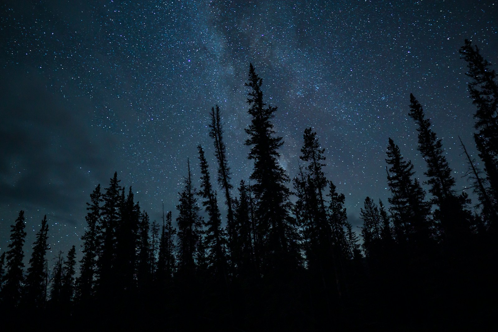 the night sky is filled with stars and trees