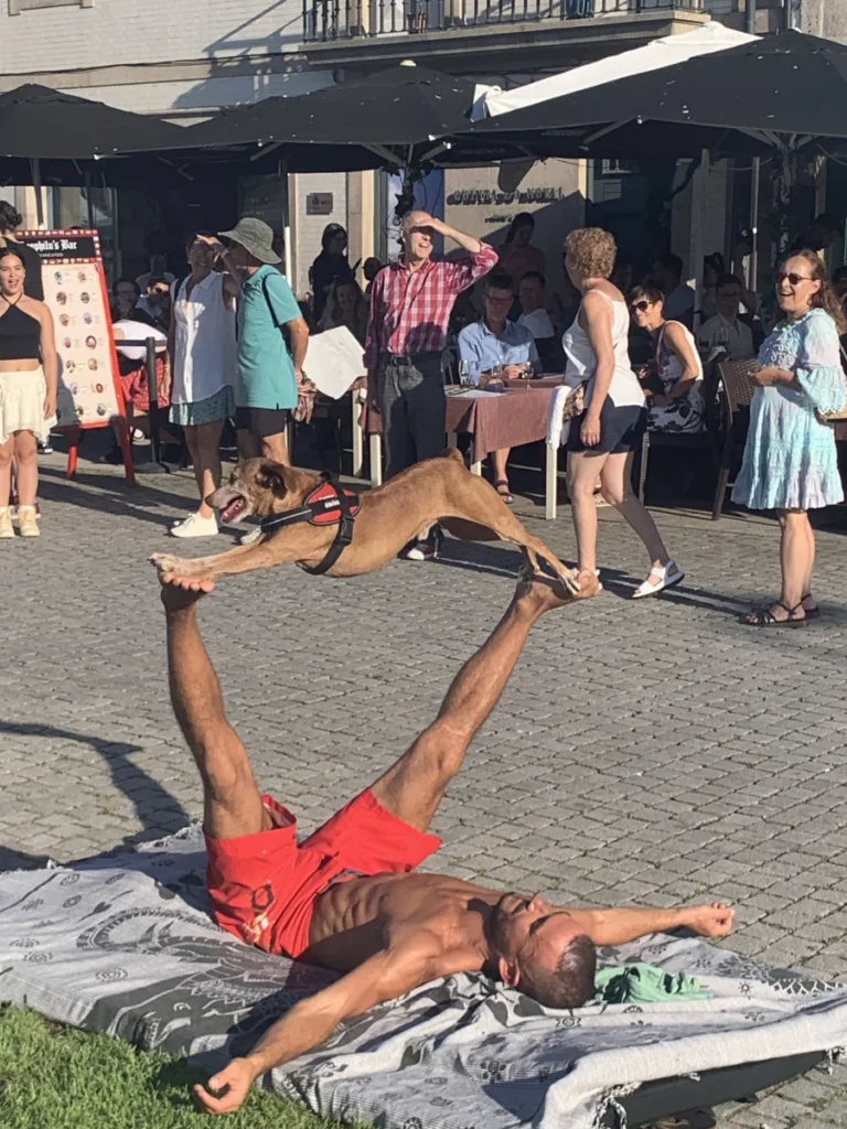 street performer and the dog in portugal