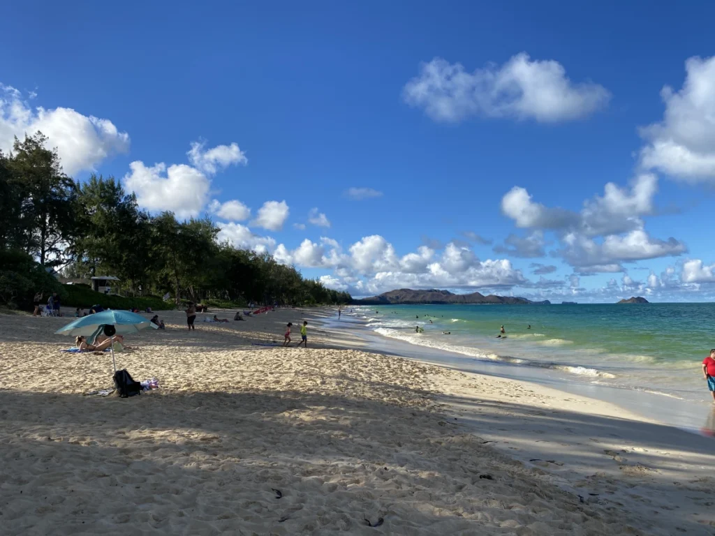 Sunny Hawaiian beach with sand, waves, and clear blue sky