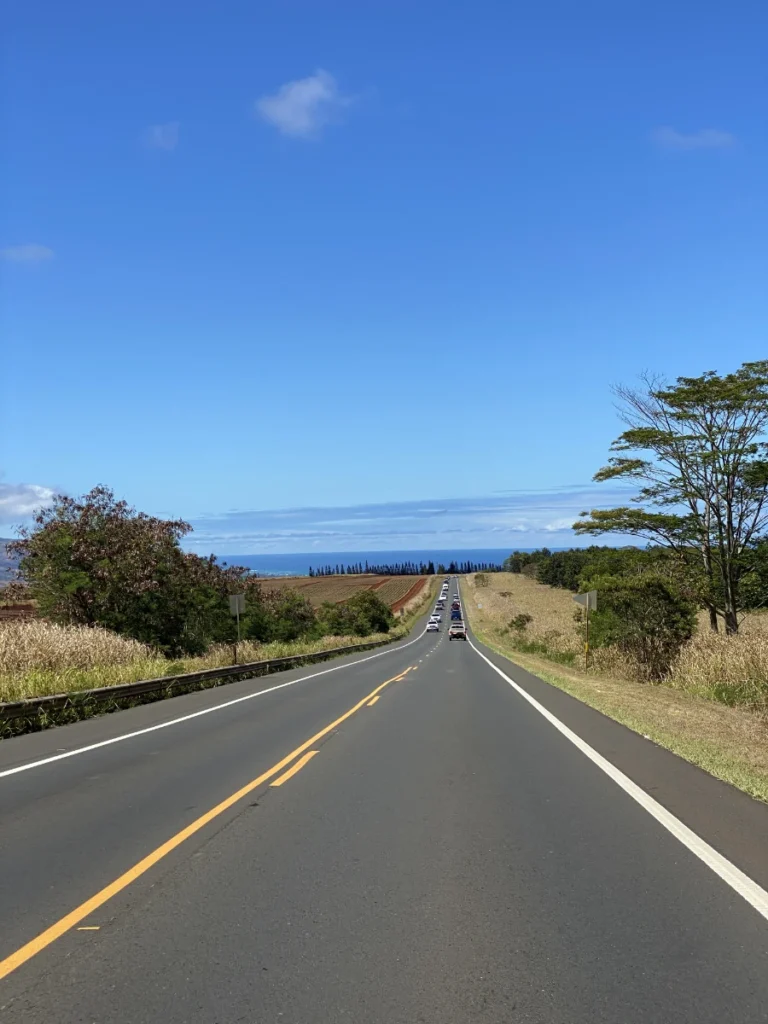Scenic road leading to Haleʻiwa Beach Park in Hawaii with greenery and ocean views