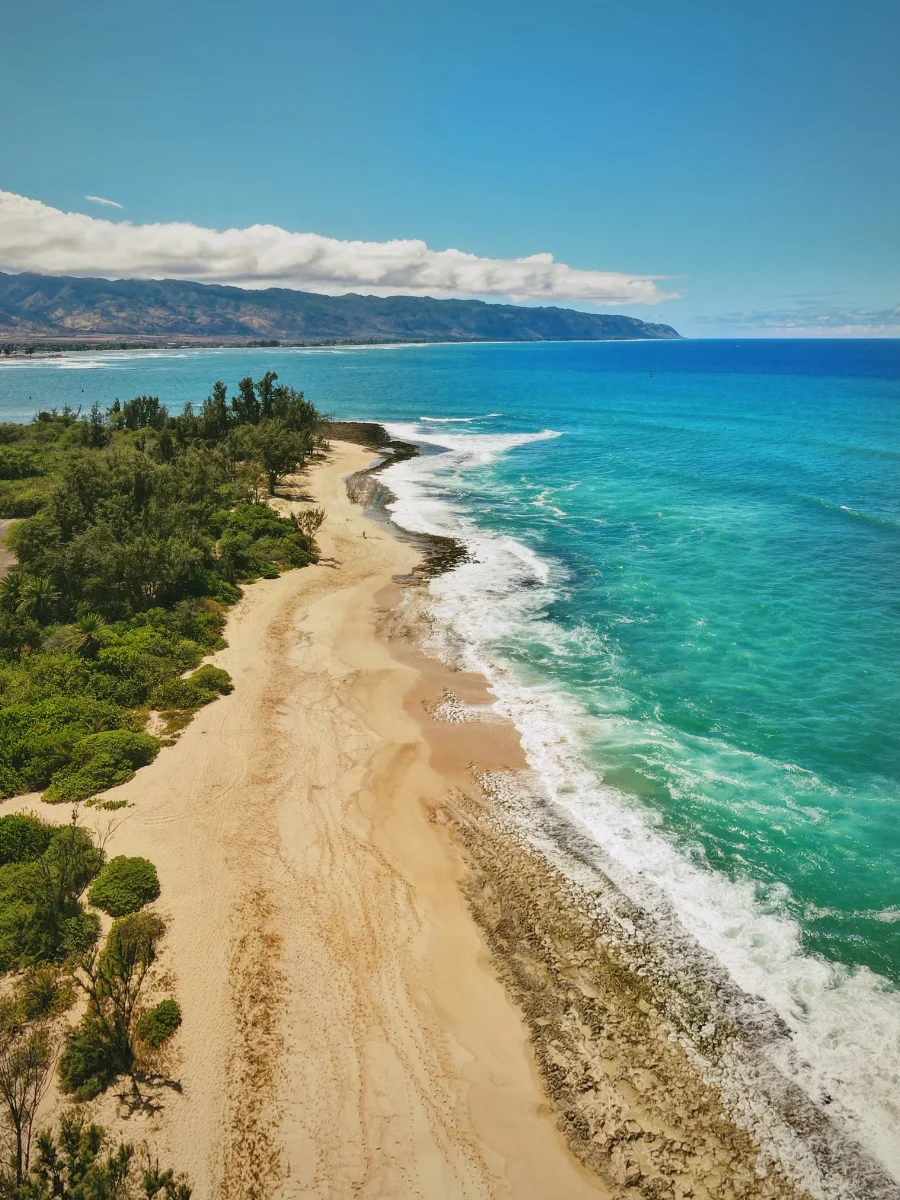 Aerial view of Kawailoa Beach in Hawaii with waves breaking along the shoreline and sandy beach