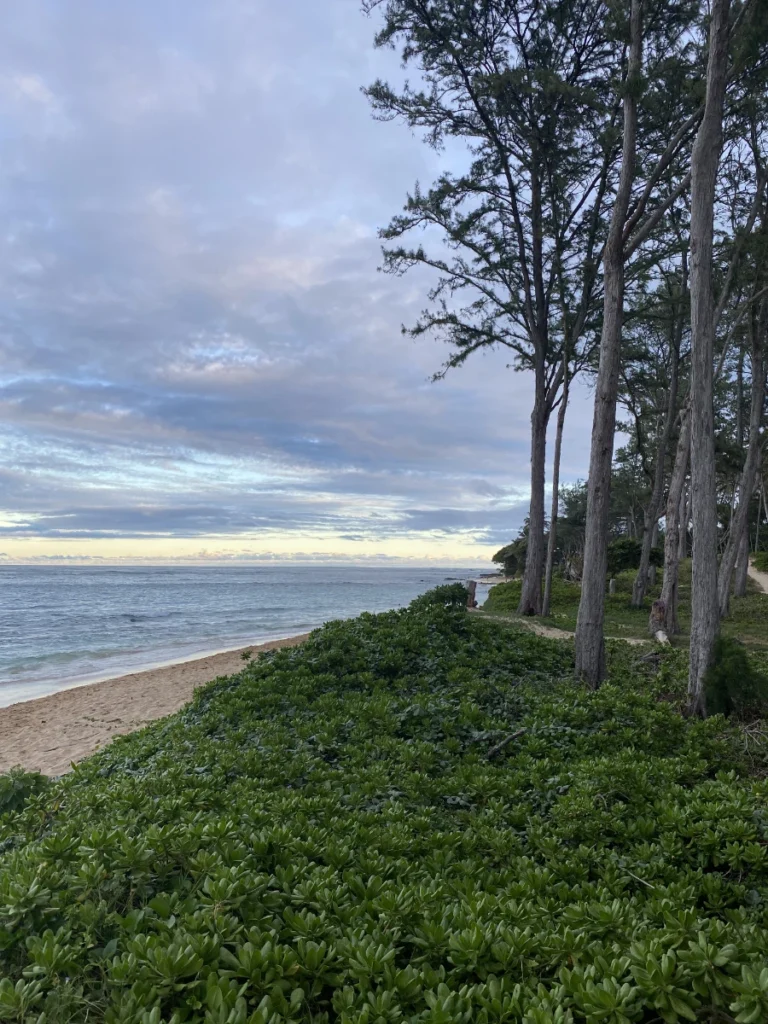 Cloudy sunset at Kokololio Beach Park in Hawaii with soft pink hues over the ocean
