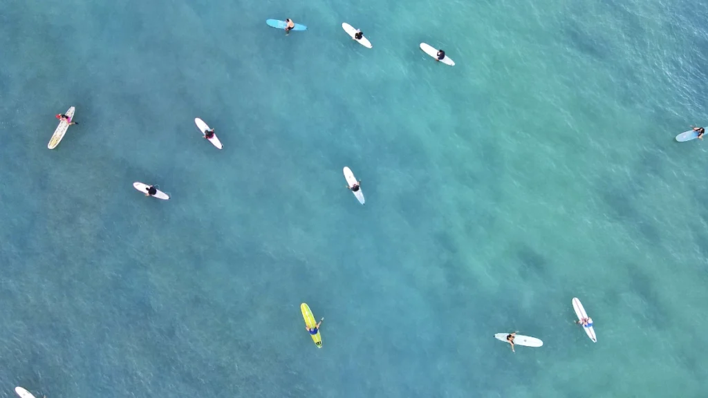 Aerial view of surfers on their boards in the ocean with waves rolling in, shot by drone